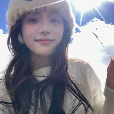海燕双飞 海报